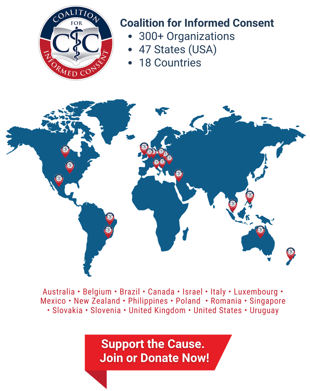 cic organizations map